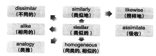 20196´W(xu)ӢZ~RDӛsimilar