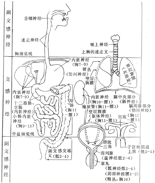 (ni)KʹX(ju)(jng)֧