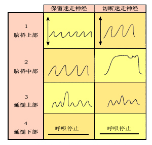 2014o(h)W(xu)o(do)И(jng)ϵy(tng){(dio)ؙC(j)