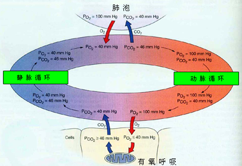 2014(j)o(h)W(xu)o(do)wQ^(gu)