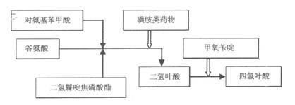 2019(zh)I(y)ˎˎﻯW(xu)(f)(x)֪R(sh)c(din)(1)