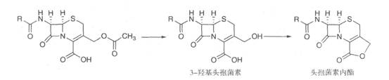 2019(zh)I(y)ˎˎﻯW֪Rc(6)