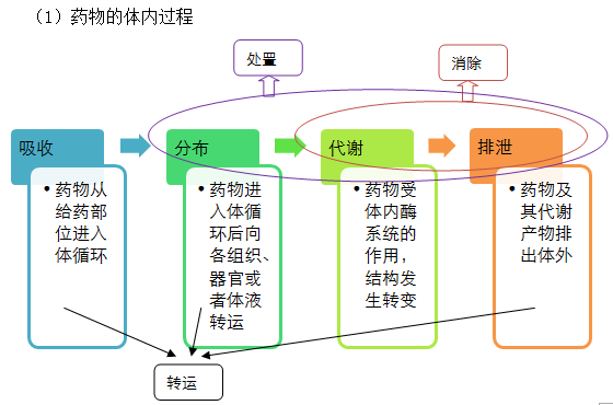 2019(zh)I(y)ˎˎWI(y)֪Rһ֪Rc(21)