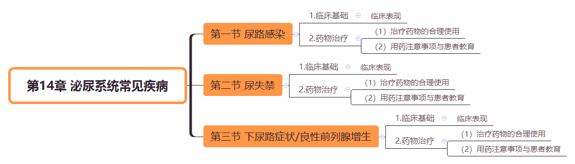 2019(zh)I(y)ˎˎW(xu)C֪R˼S(do)D(14)