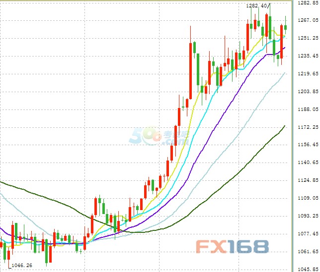 (F(xin)؛SՈDԴFX168ؔ(jng)W(wng))